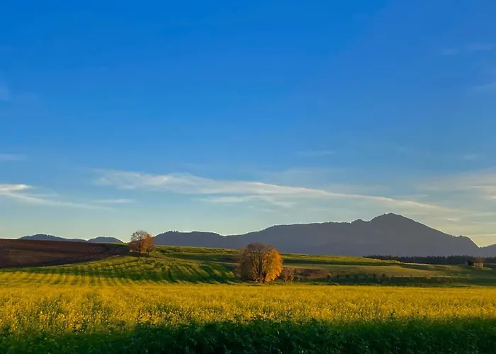 Alpenlodge Chiemsee Nyaraló