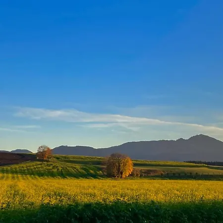 Alpenlodge Chiemsee Feriehus